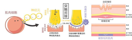 昆明市第一人民医院