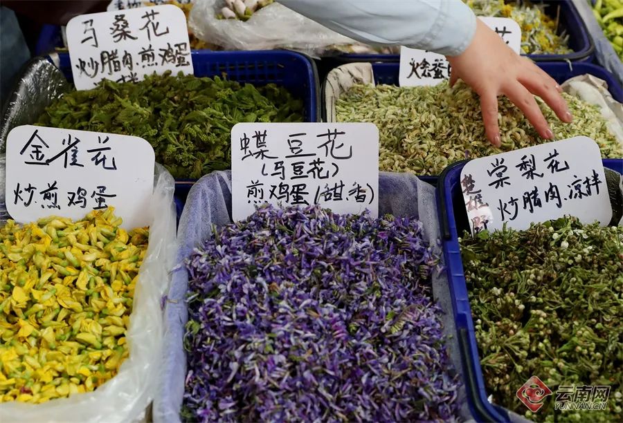 美丽云南微科普