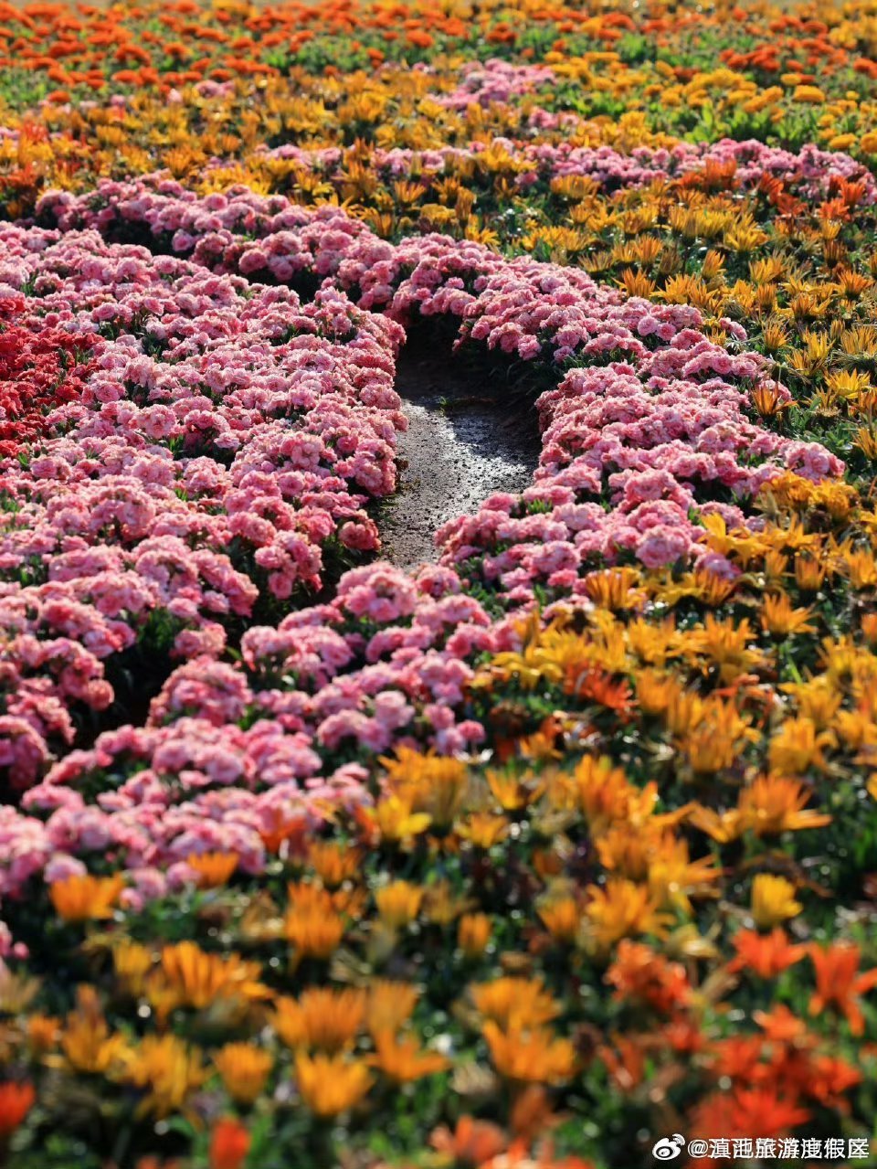 滇池旅游度假区