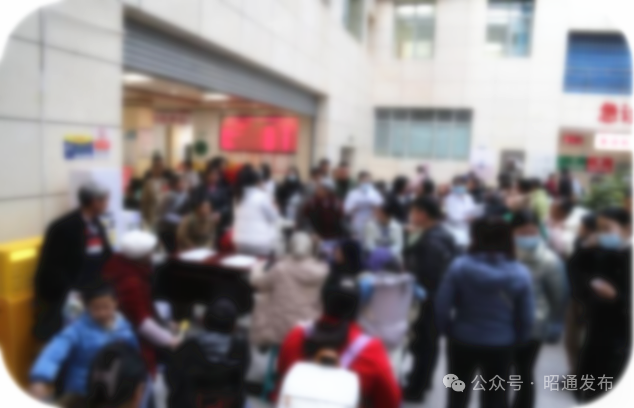 昭通日报