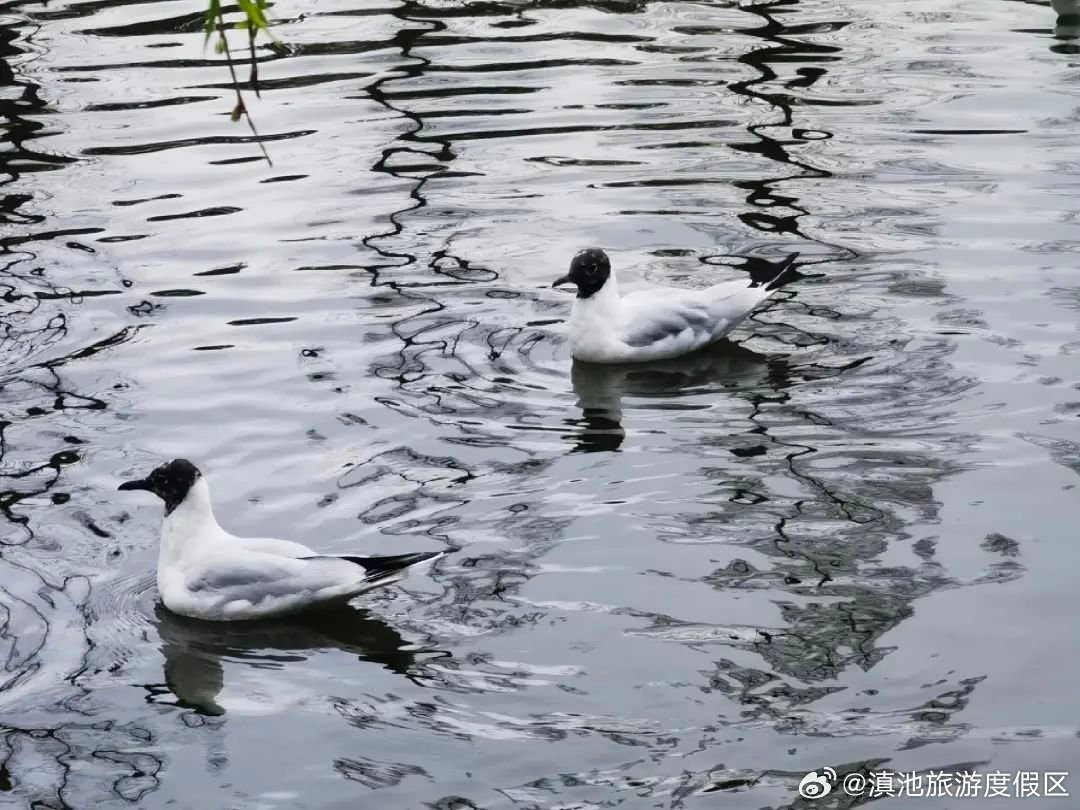 滇池旅游度假区