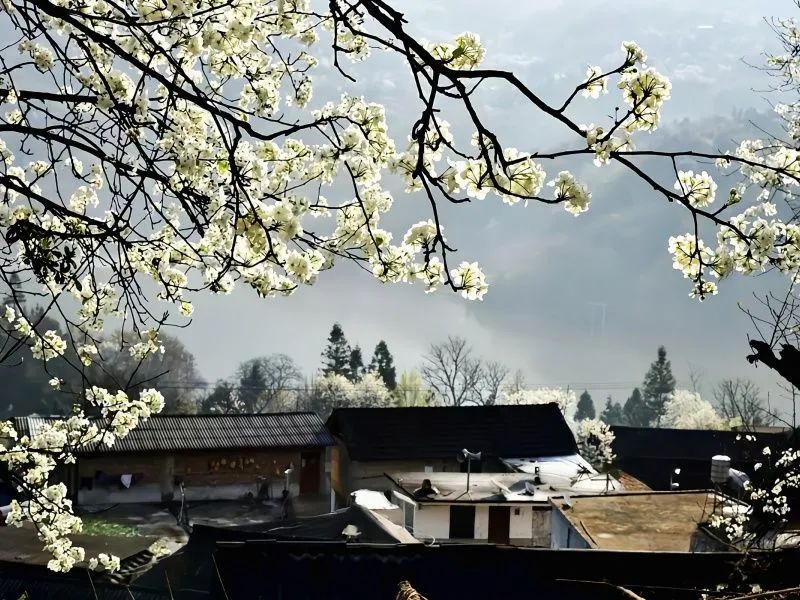 红河文旅