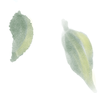 云南中医药大学第二附属医院