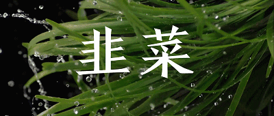 中医推荐春分多吃韭菜