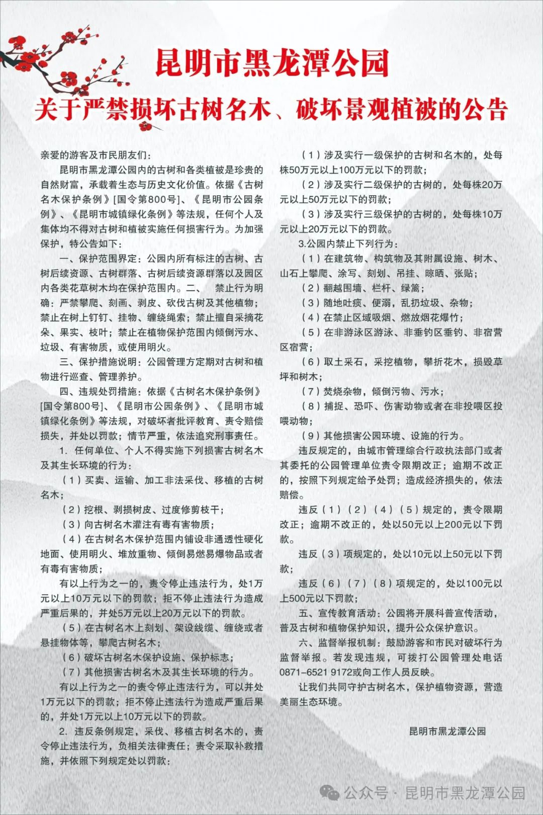 微观盘龙