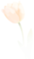 石林融媒