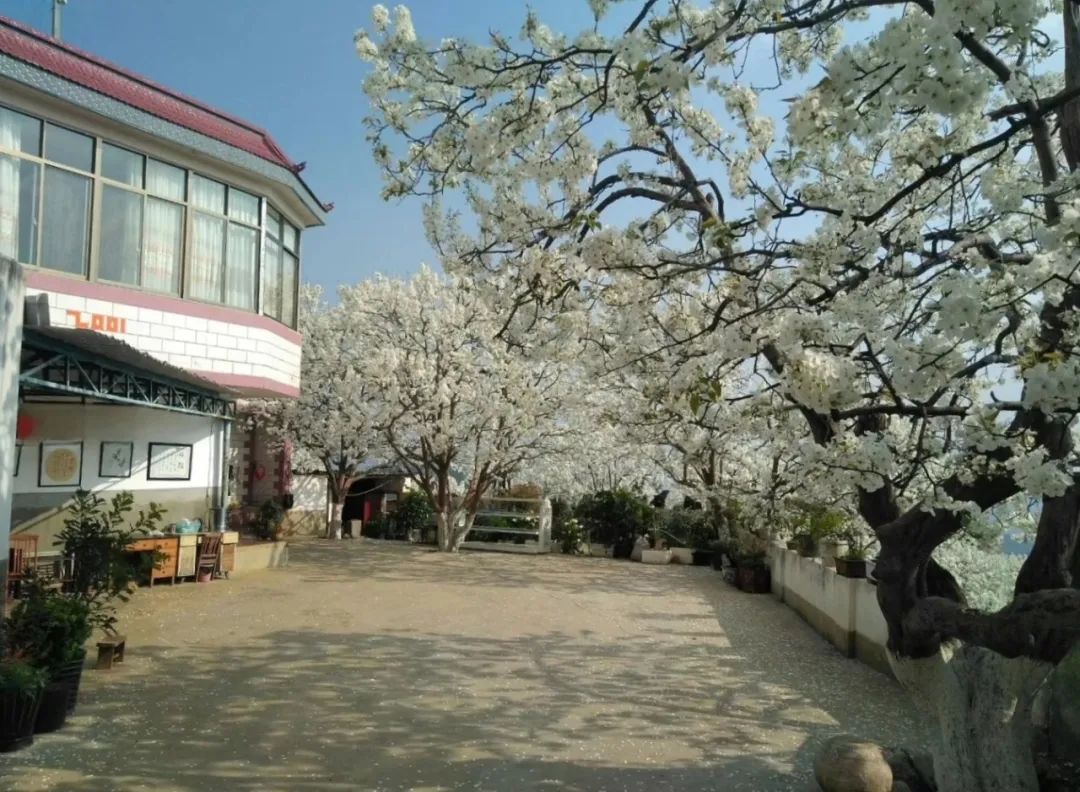 红河文旅