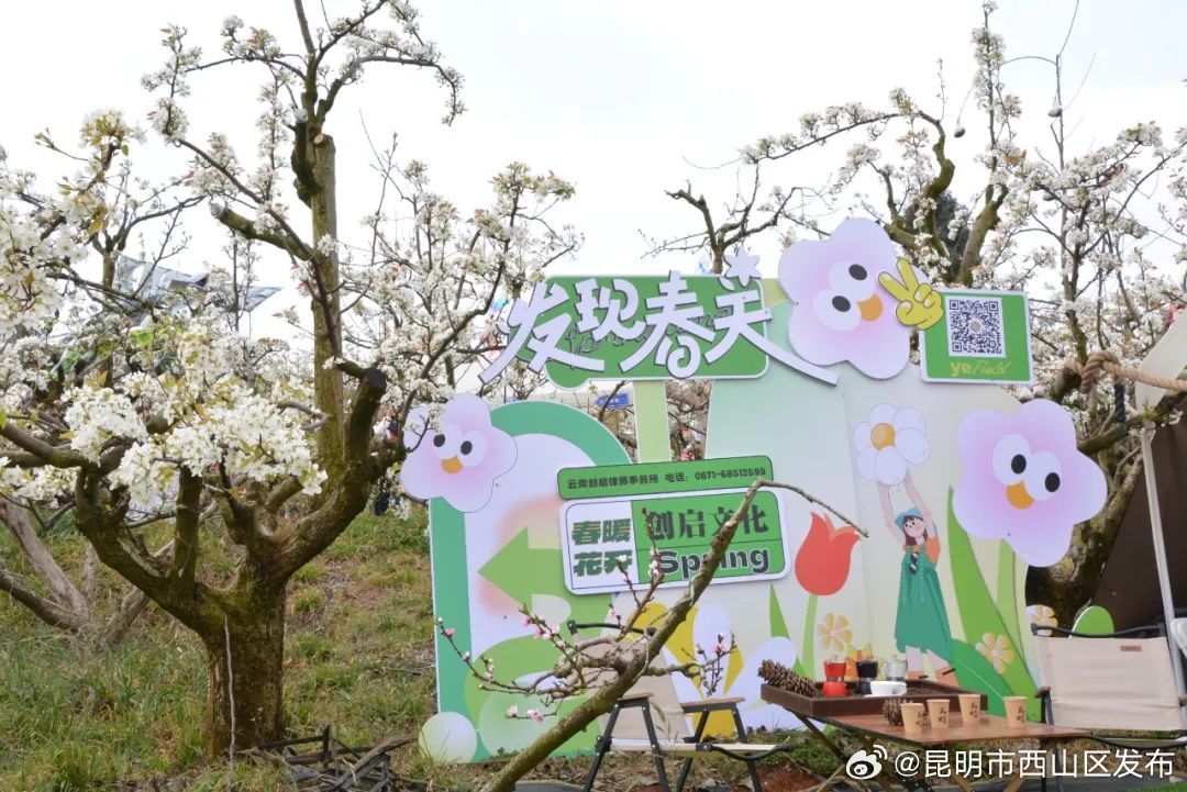 昆明市西山区发布
