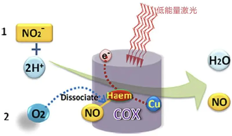 云南中医药大学第二附属医院
