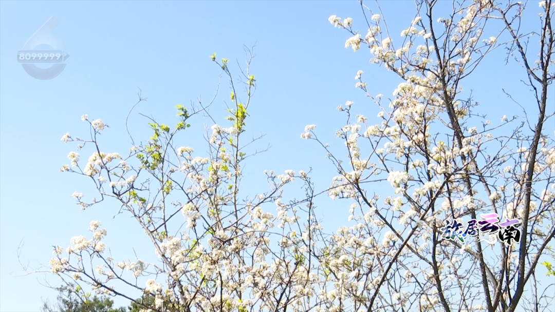 FM105城市生活广播