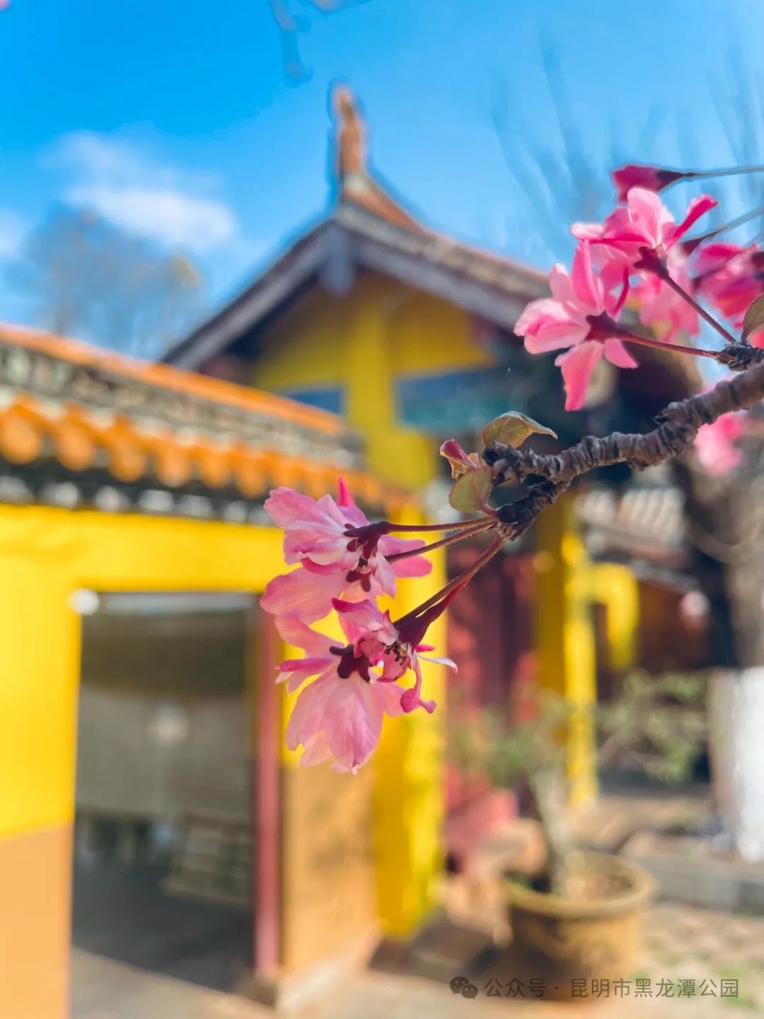 昆明市黑龙潭公园