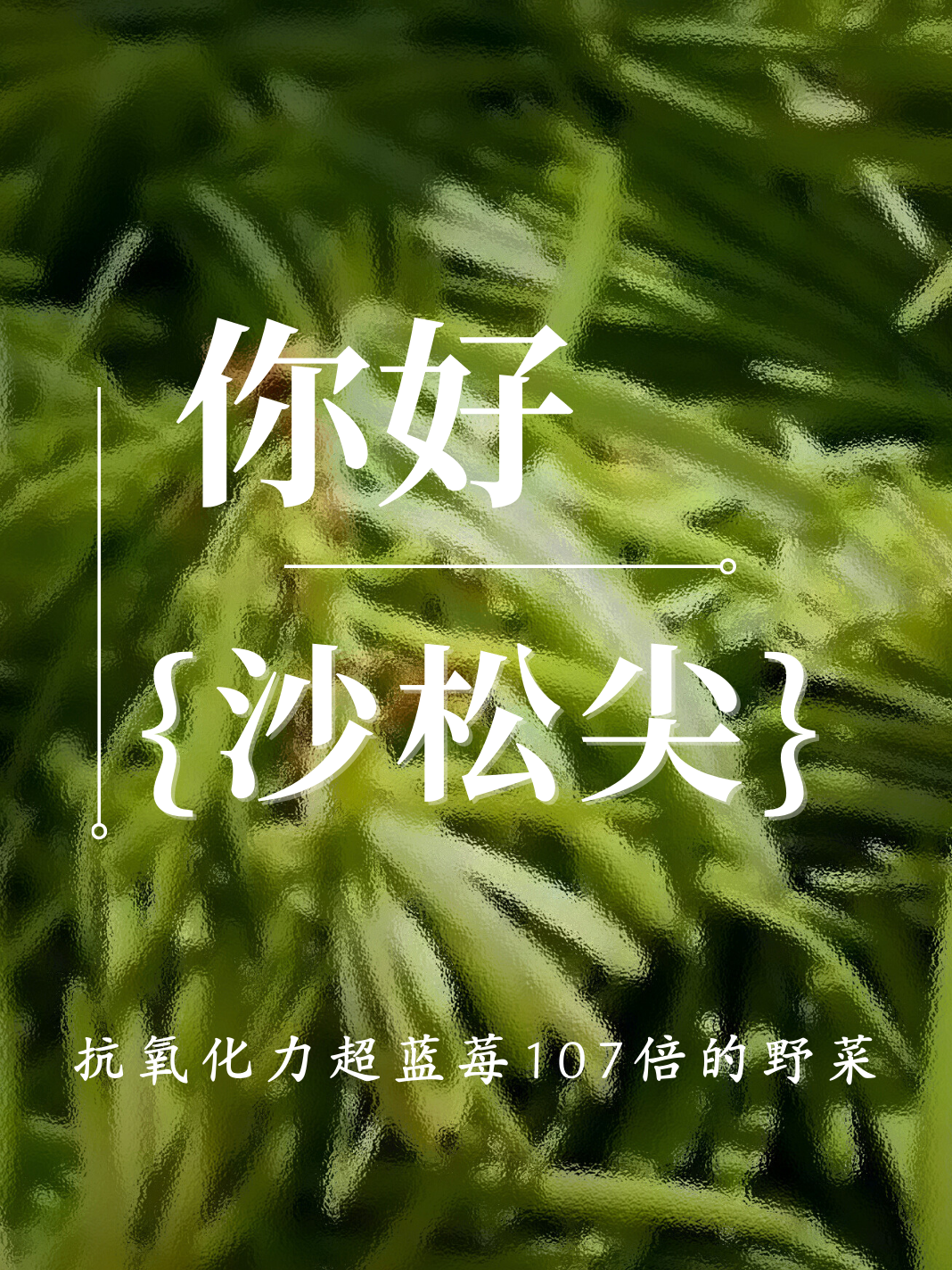 昆明市中医医院