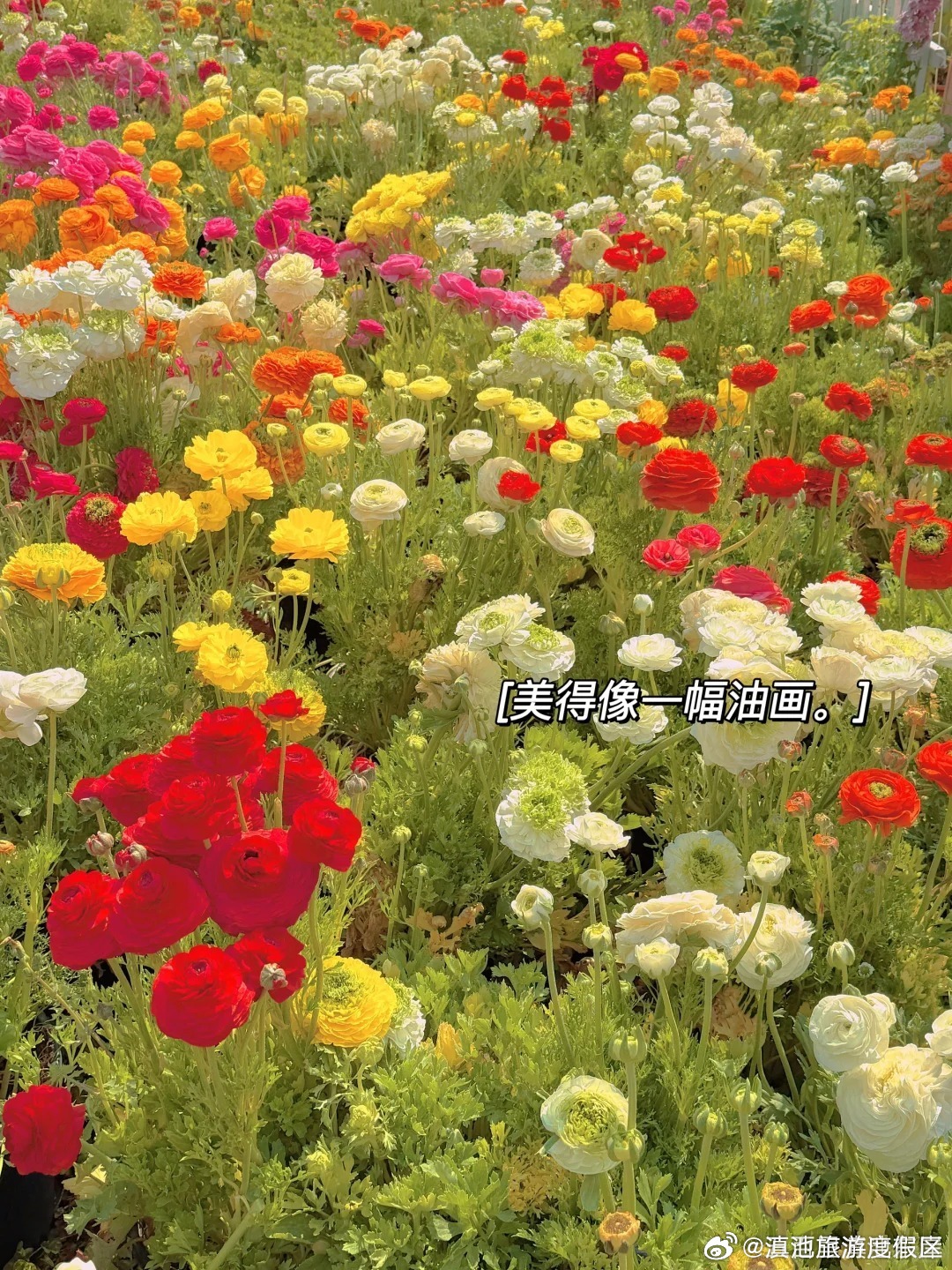 滇池旅游度假区