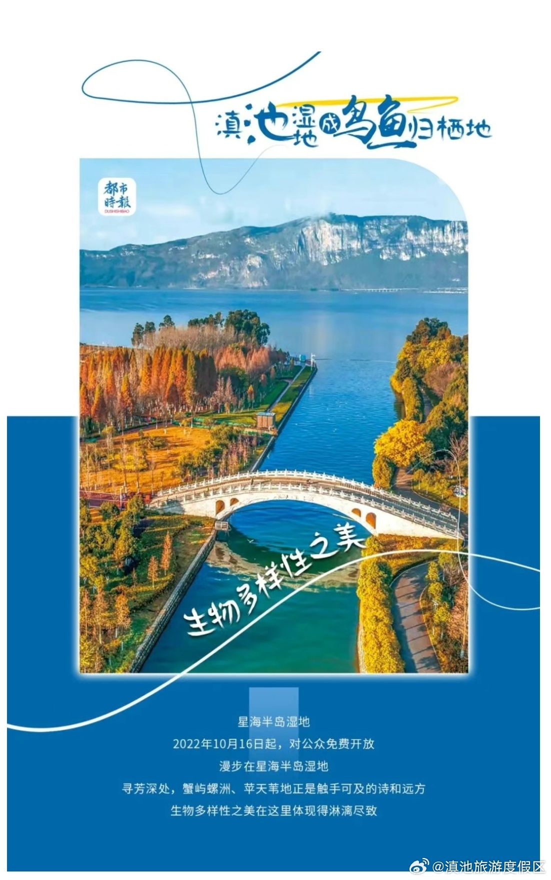 滇池湿地成鸟鱼归栖地