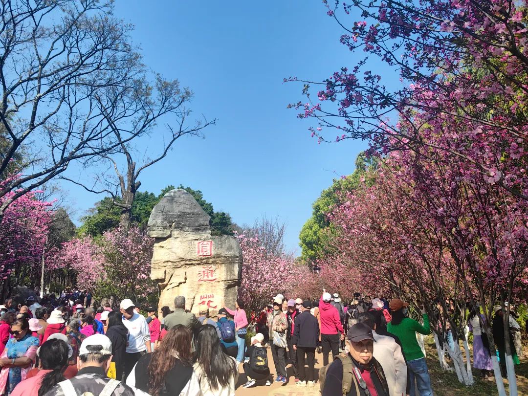 昆明文旅