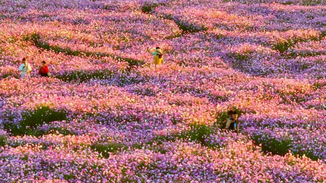 晋宁 诗意的栖居地