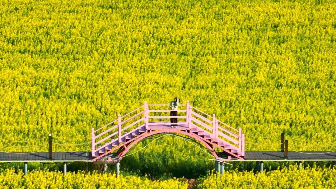 晋宁 诗意的栖居地
