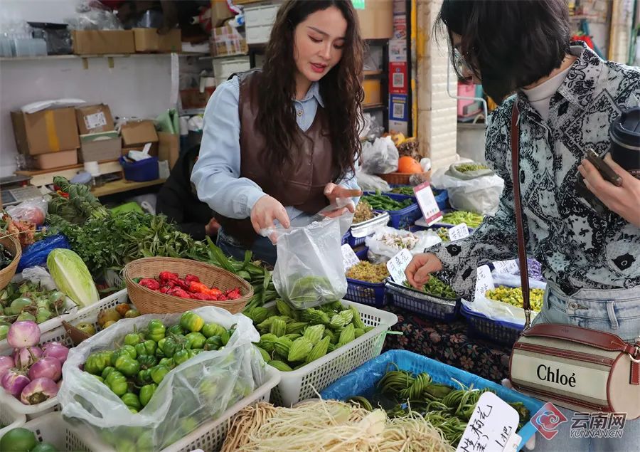 美丽云南微科普