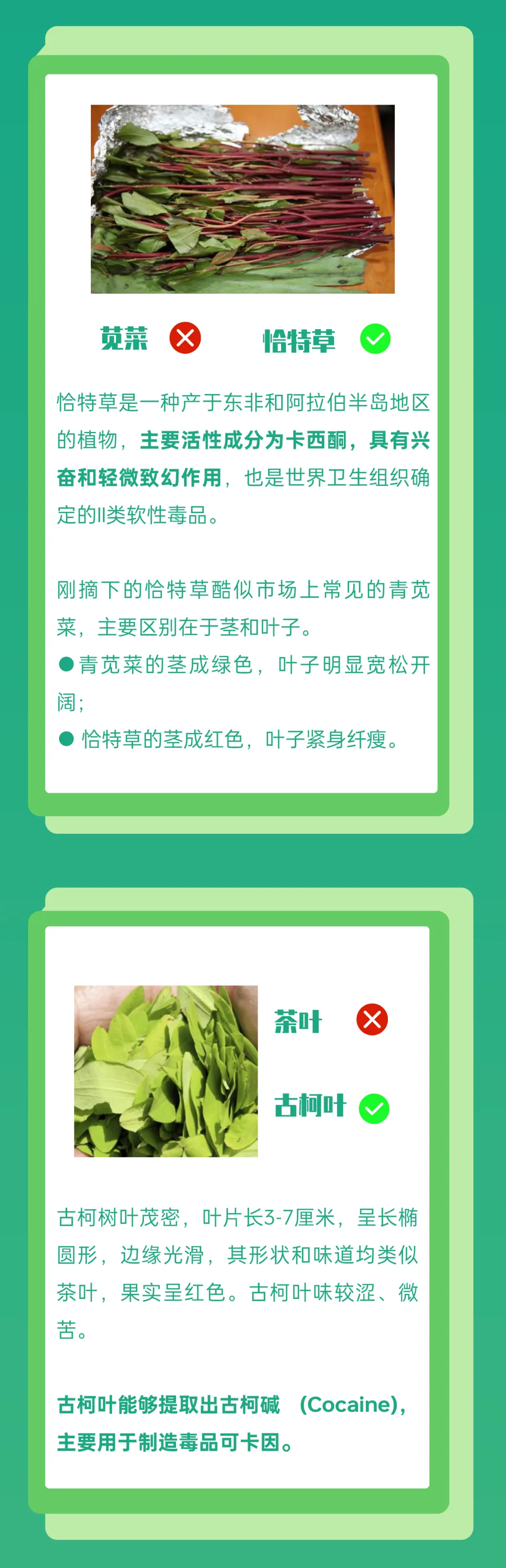 石林融媒