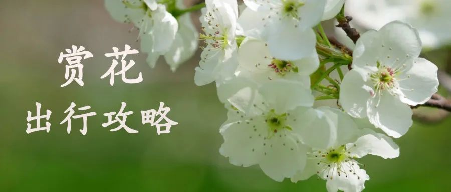 红河文旅