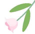 云南省中医医院