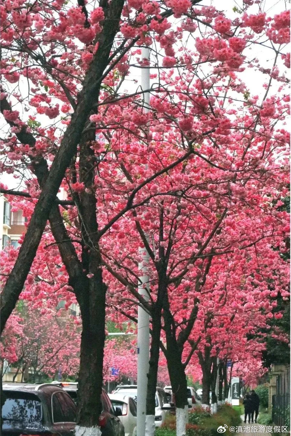 滇池旅游度假区