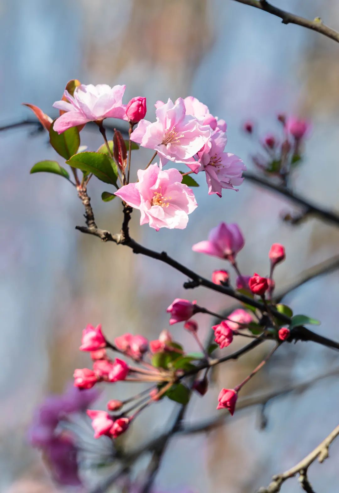 晋宁 诗意的栖居地