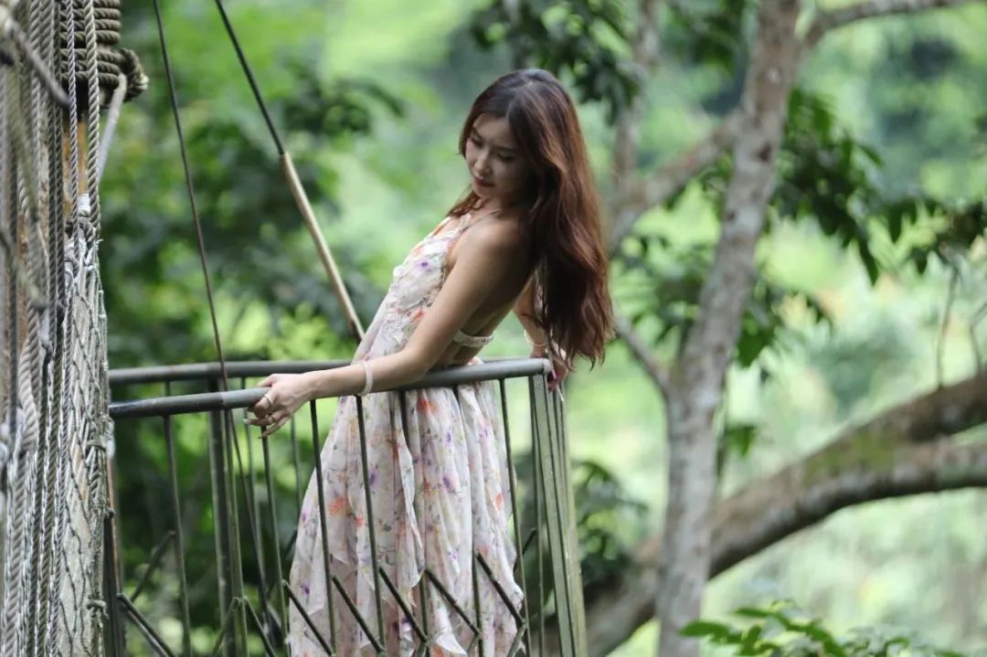 西双版纳望天树景区