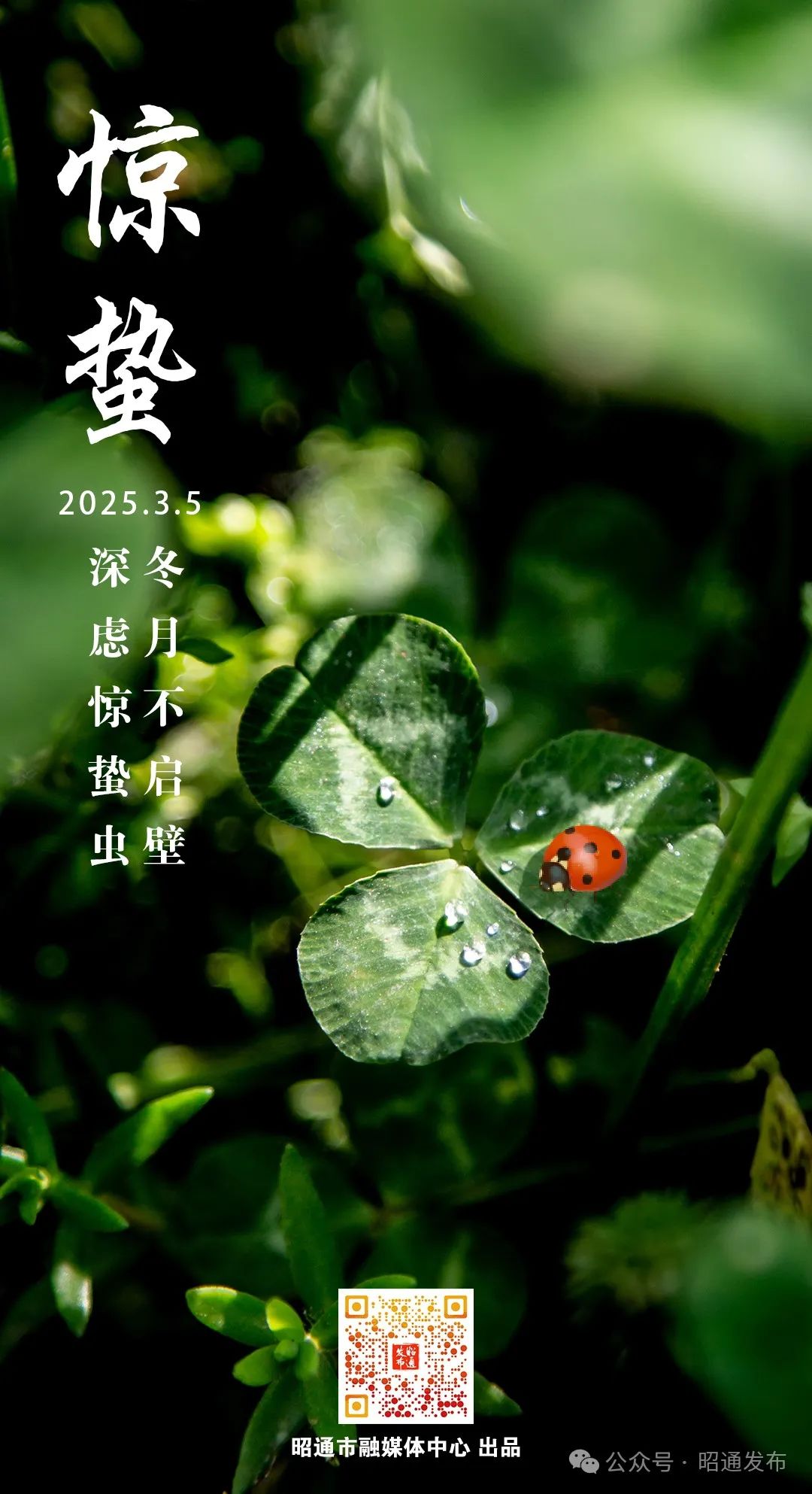 昭通日报