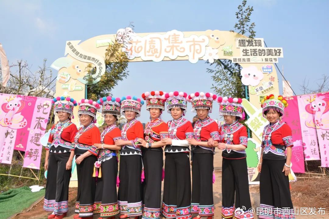 昆明市西山区发布