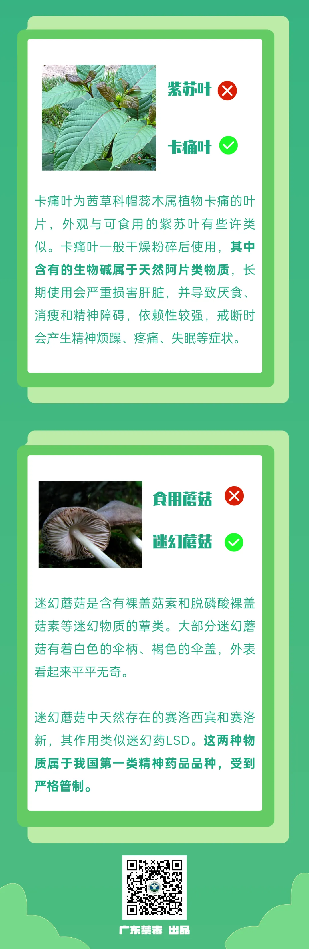 石林融媒