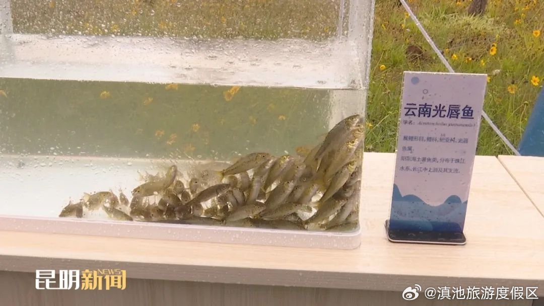 滇池旅游度假区