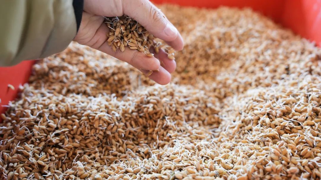 晋宁 诗意的栖居地