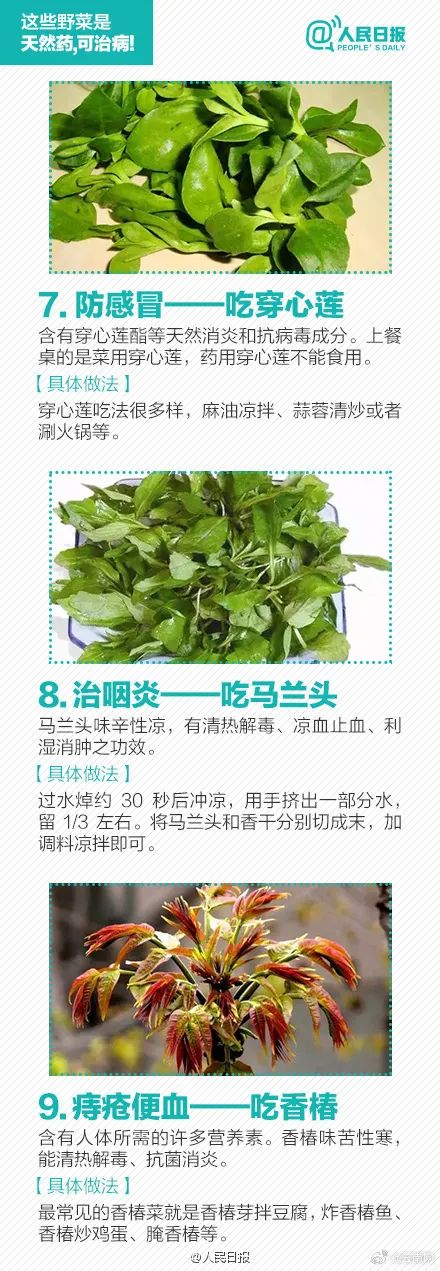 美丽云南微科普