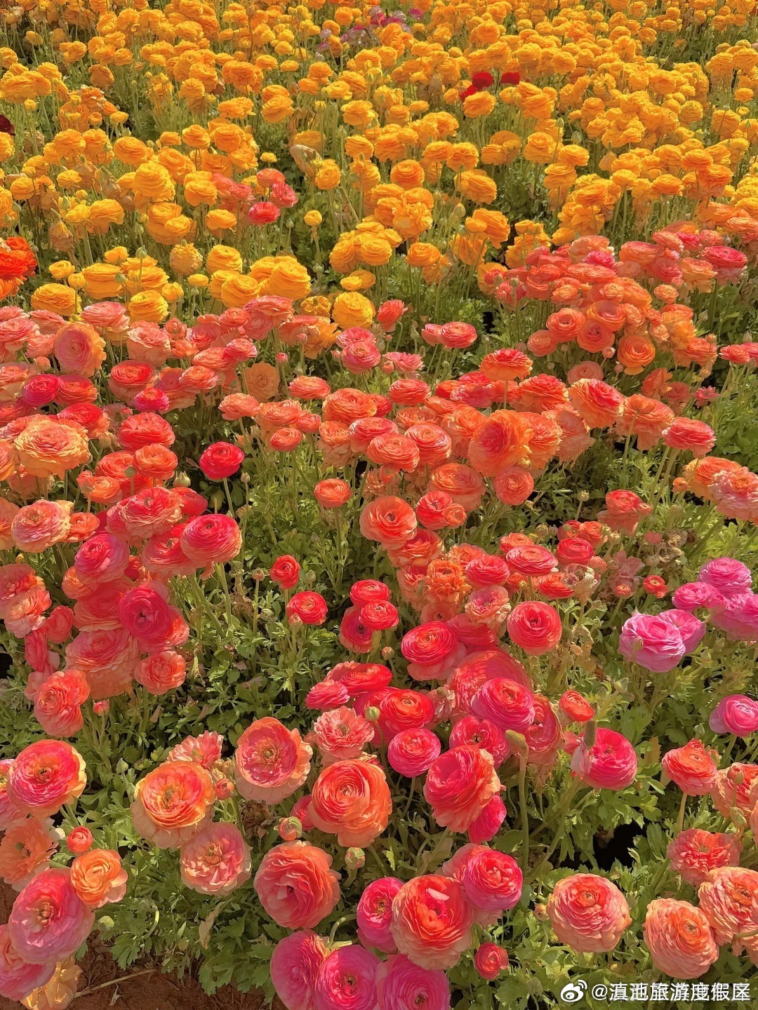 滇池旅游度假区