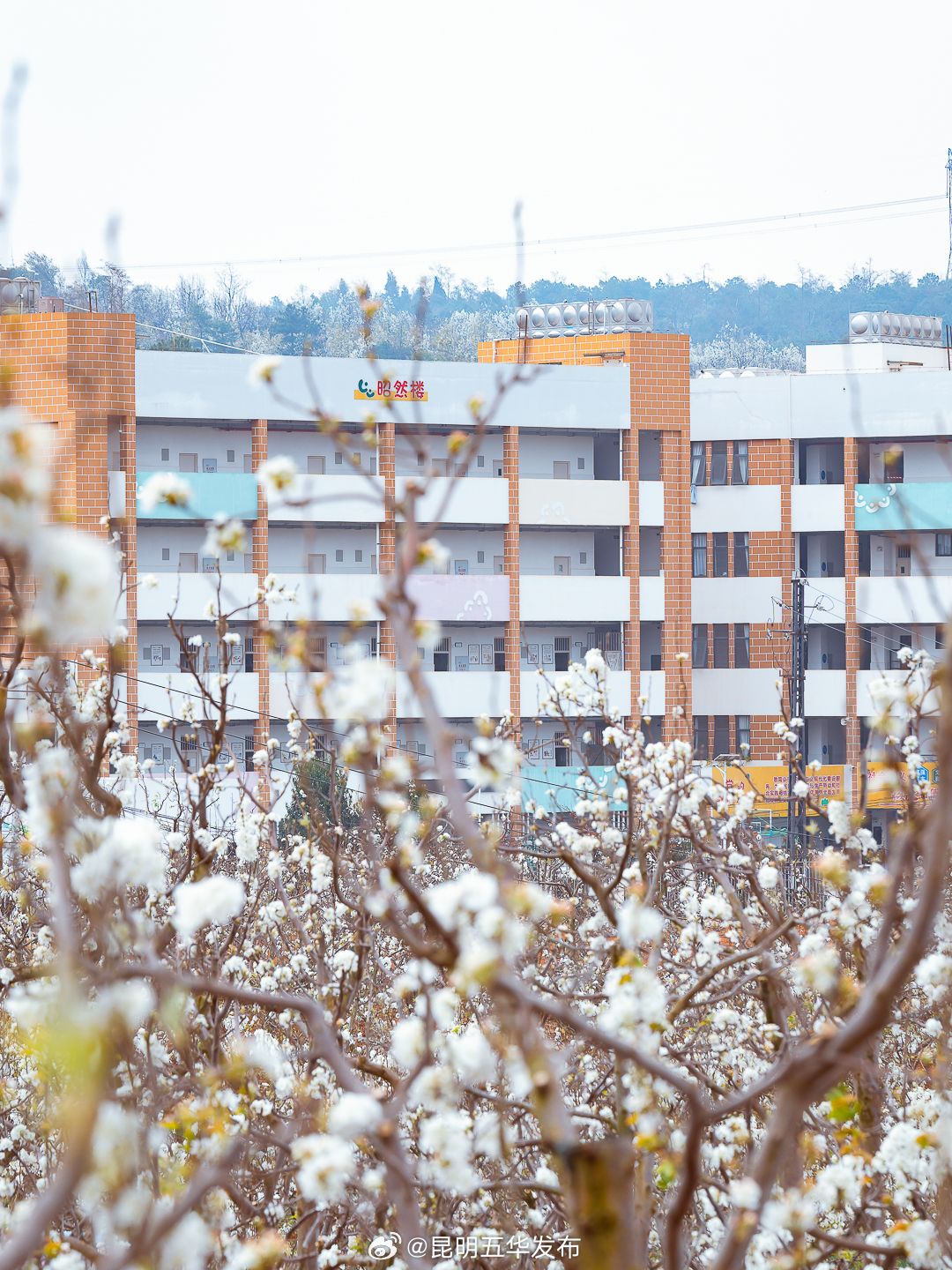 昆明五华发布