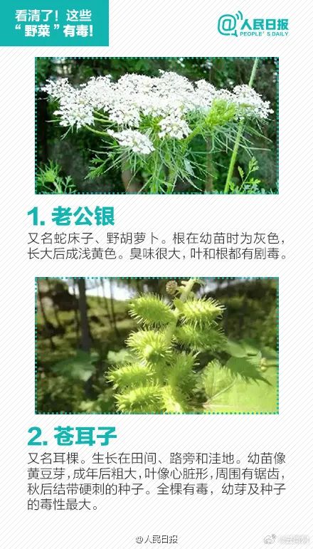 美丽云南微科普