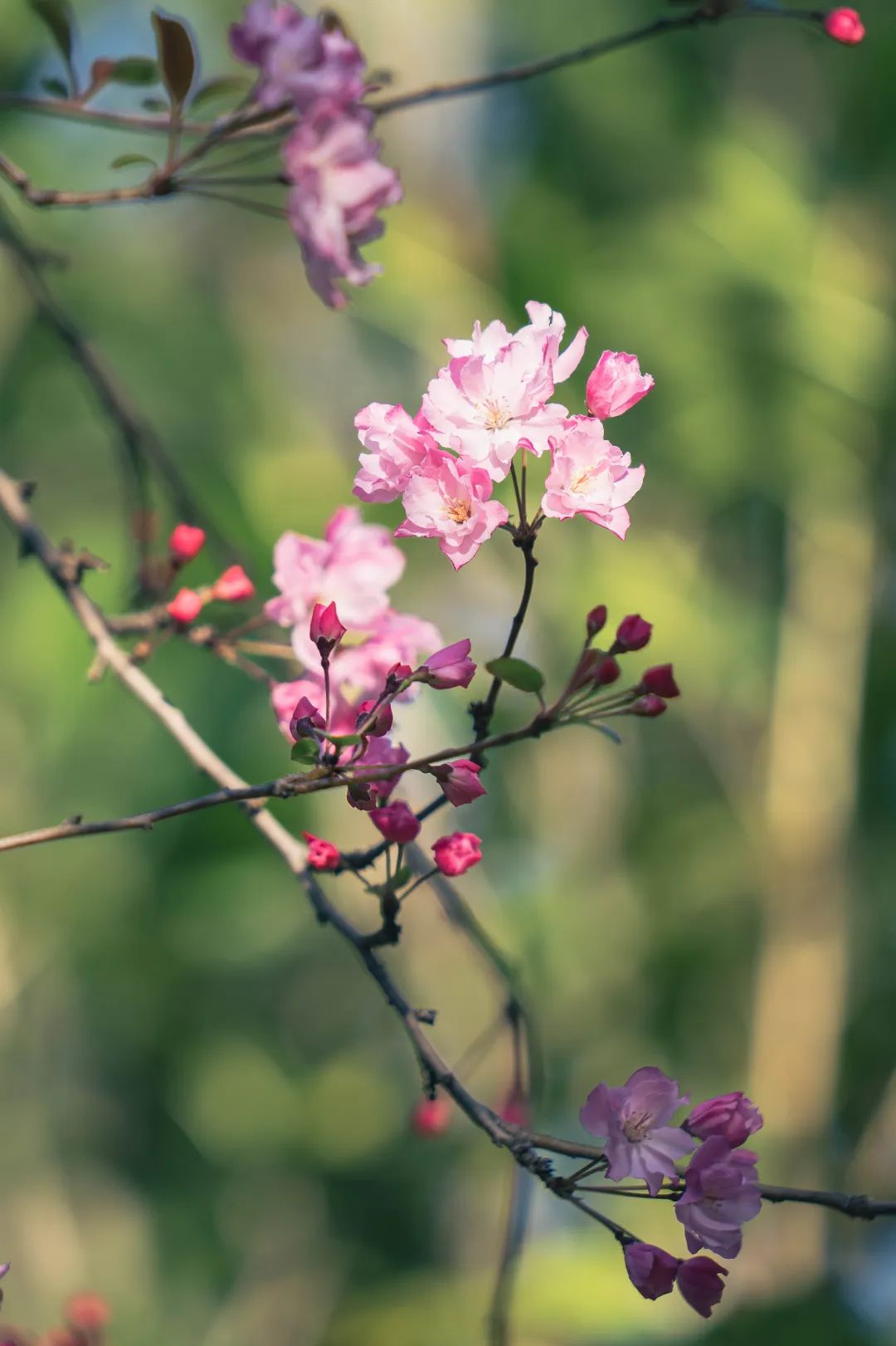 晋宁 诗意的栖居地