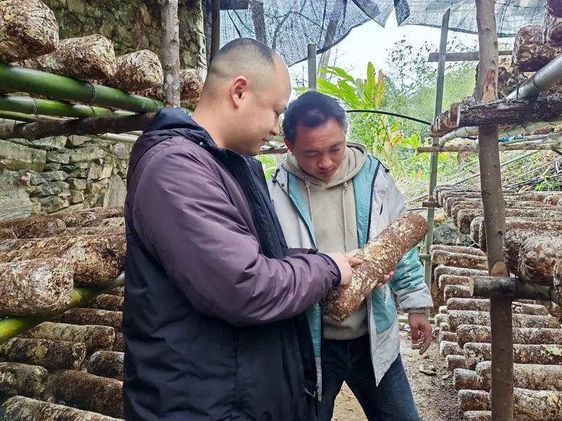 福贡先锋