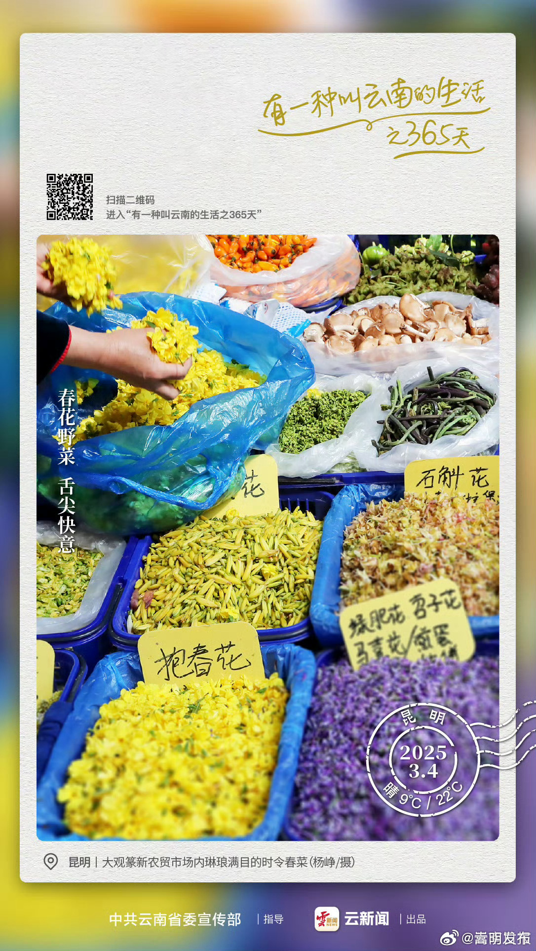 云南人春天的餐桌，够“野”！——有一种叫云南的生活之365天