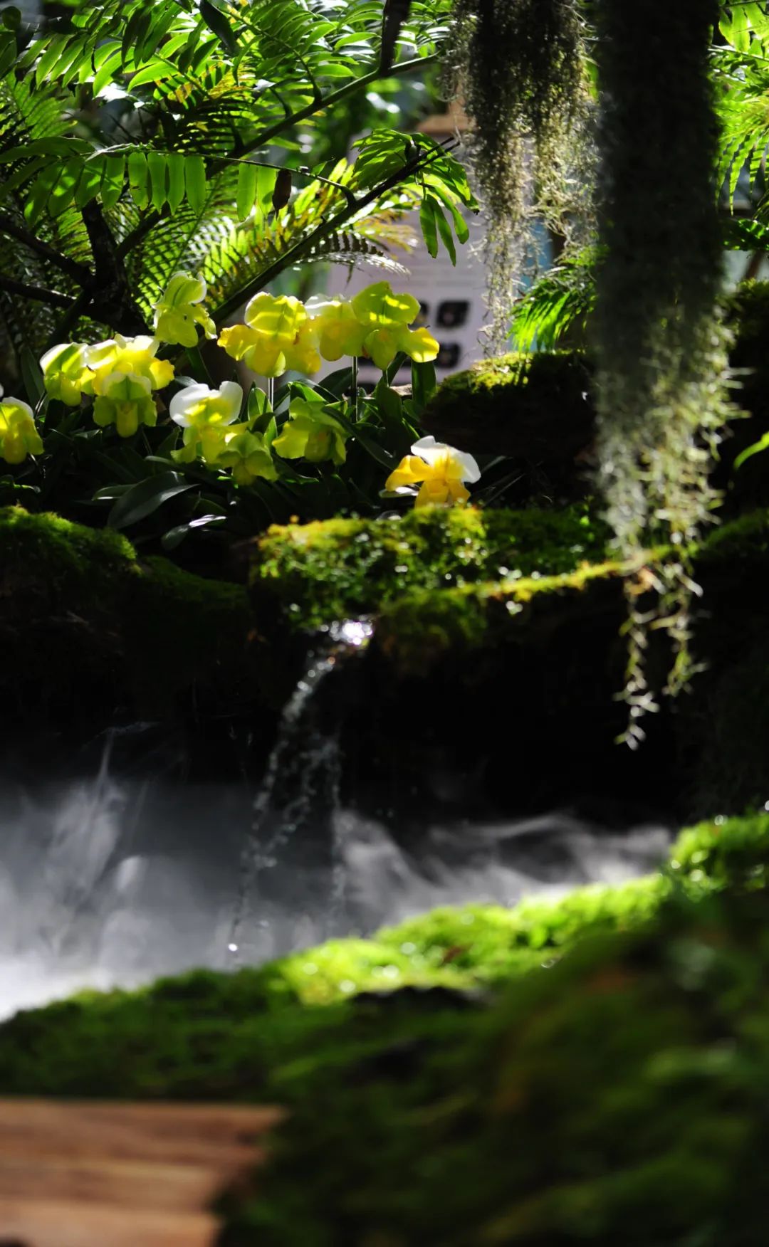 昆明市金殿名胜区