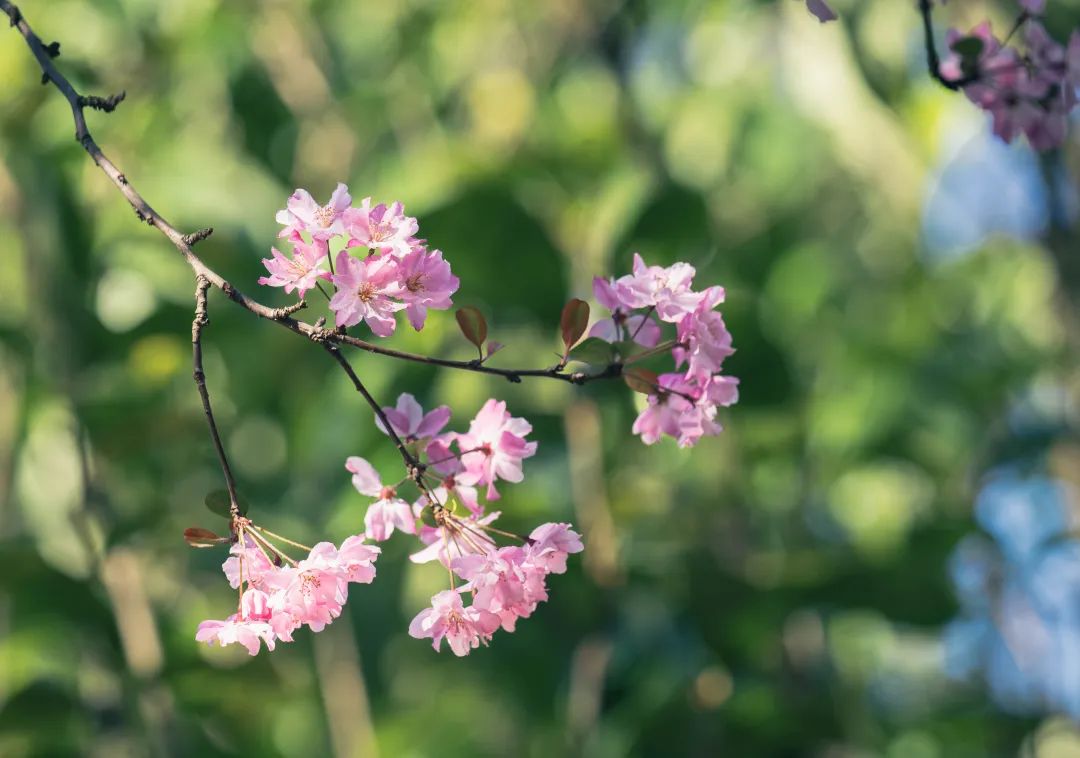 晋宁 诗意的栖居地