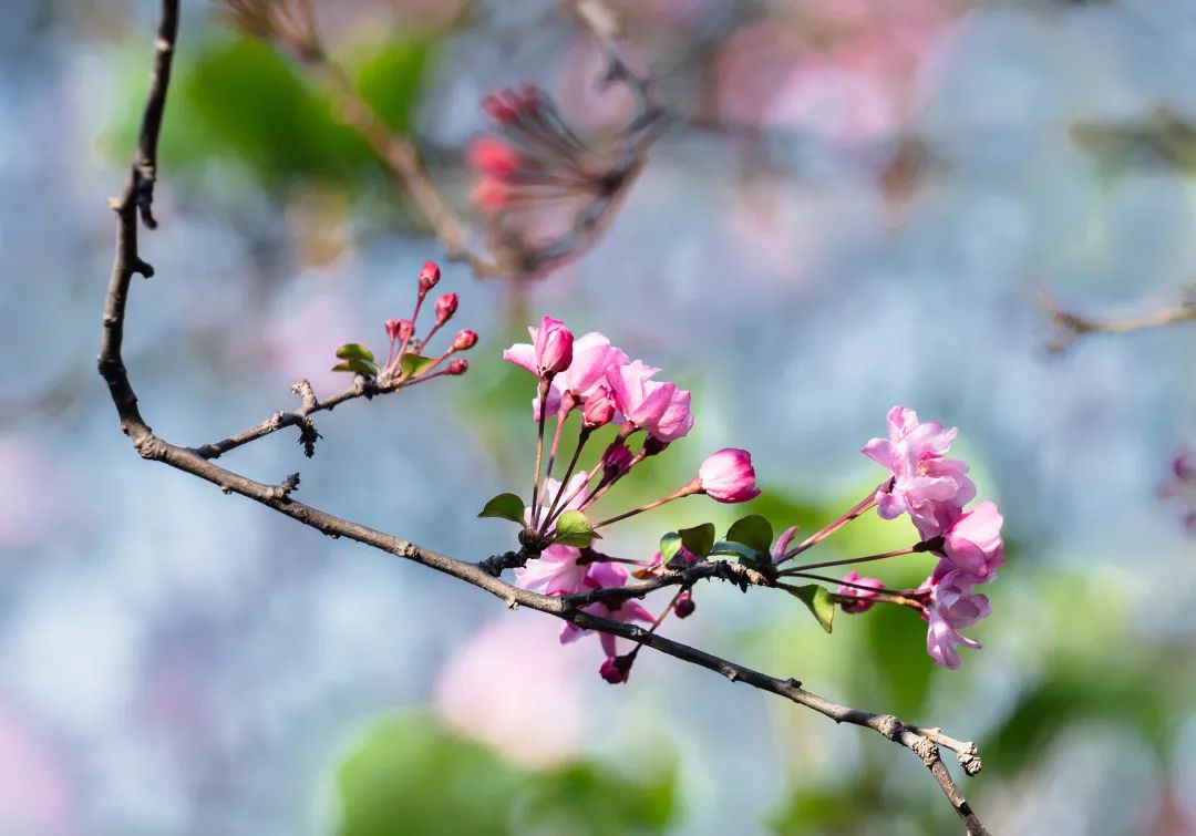 晋宁 诗意的栖居地