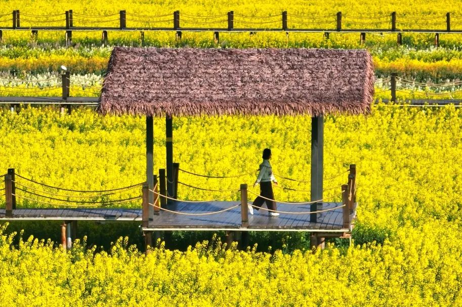 晋宁 诗意的栖居地