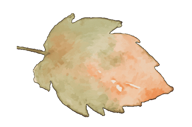 健康腾冲
