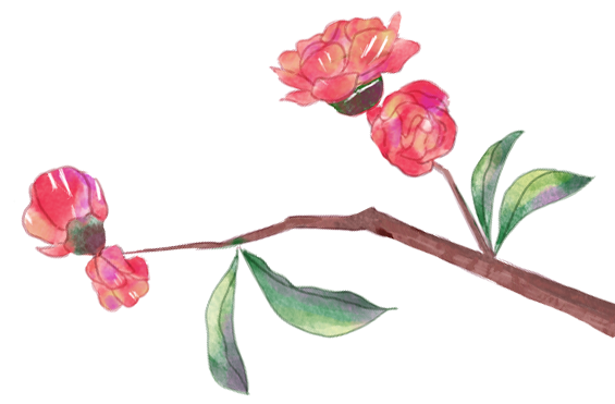 昆明市第一人民医院