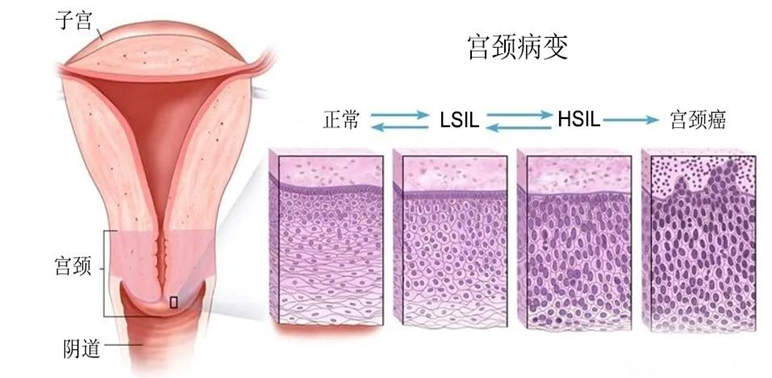 昆明市第一人民医院