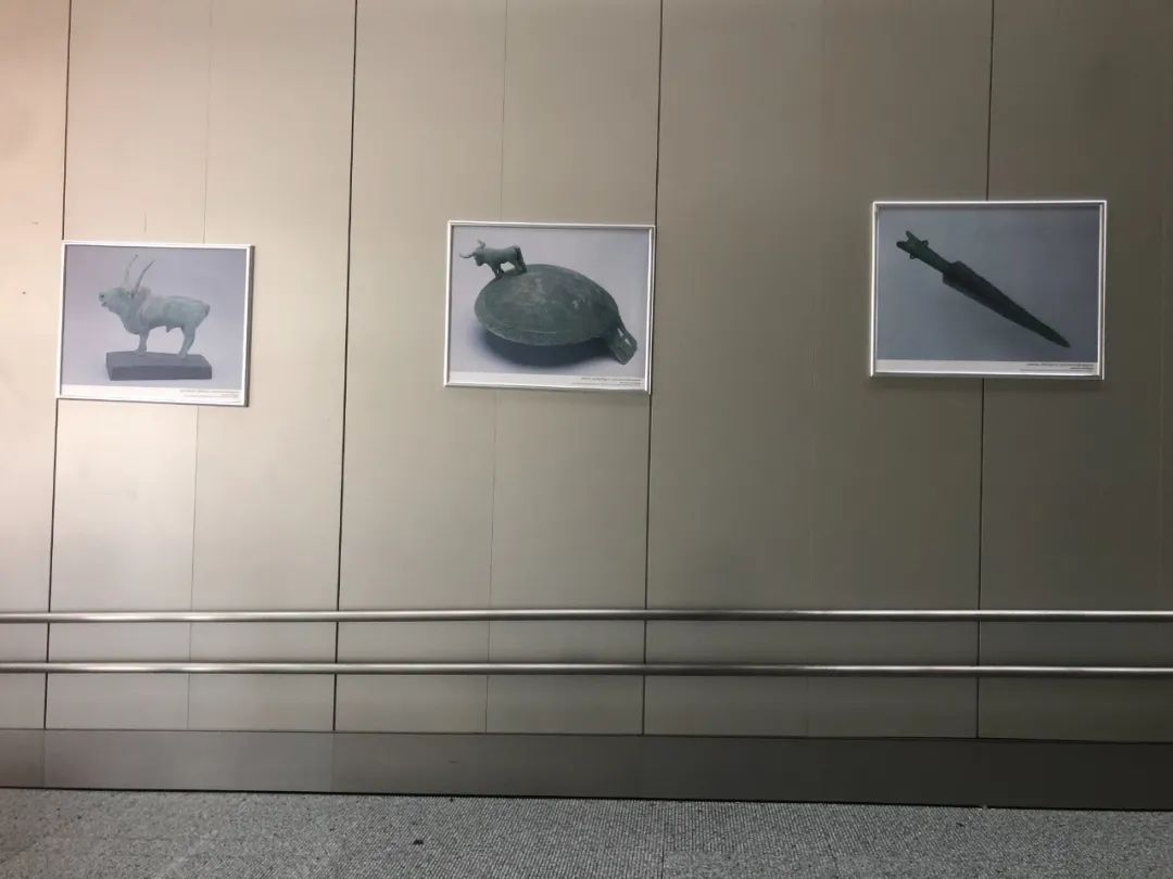 云南省博物馆