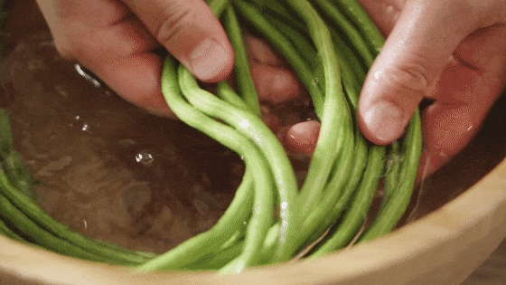 为什么人类对野菜情有独钟