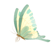 云南省中医医院